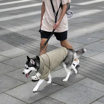 The Packable Soho Pet Jacket