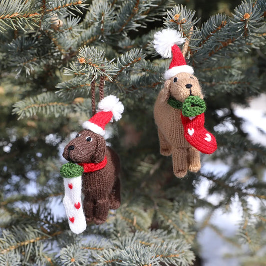 Dog with Stocking Knit Ornament