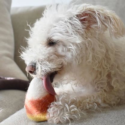 Wool Candy Corn Dog Toy