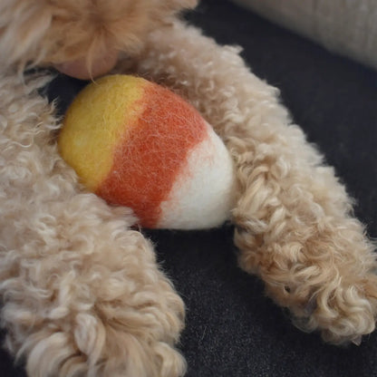 Wool Candy Corn Dog Toy