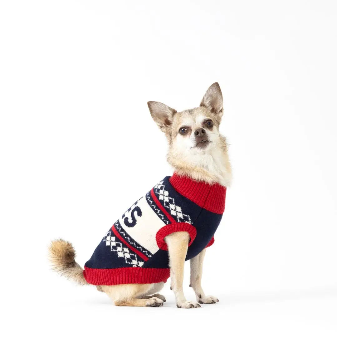 Apres Ski Pet Sweater