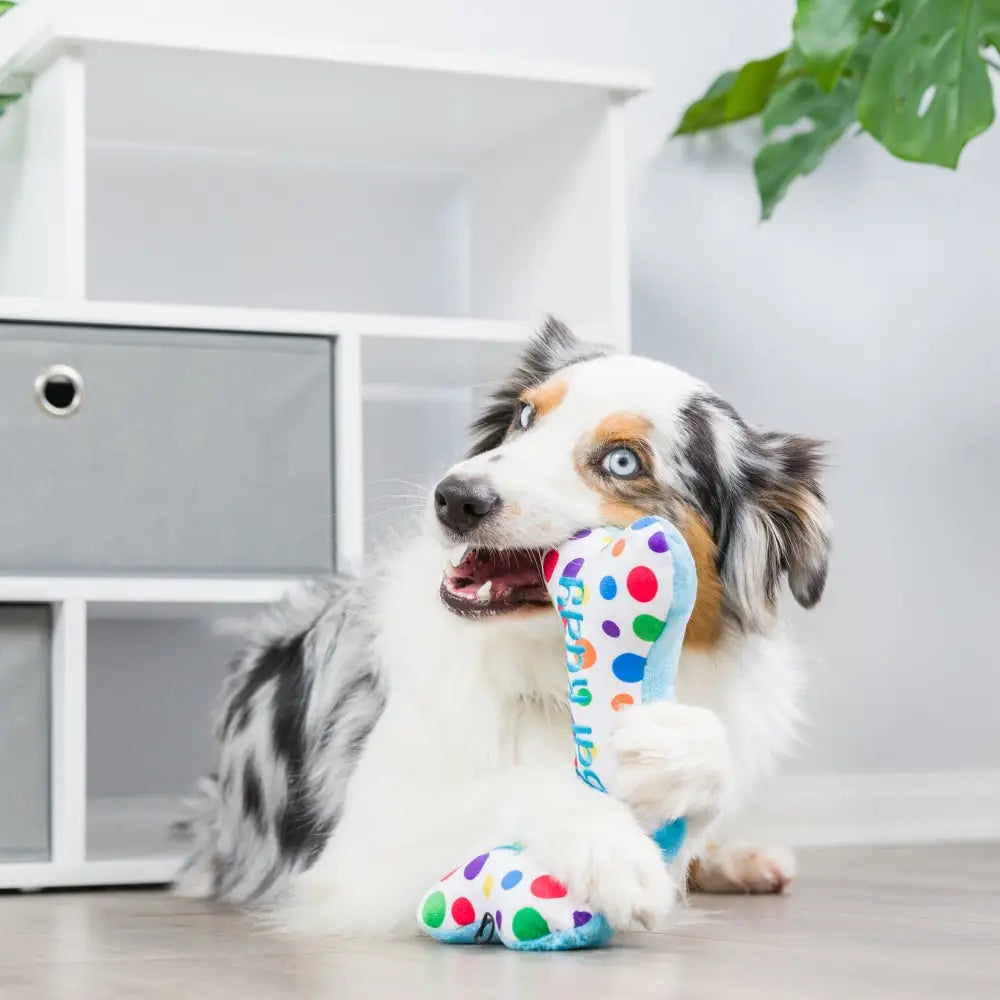 It's My Barkday Bone Plush Dog Toy