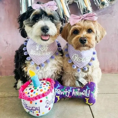 Happy Barkday Cake Dog Toy