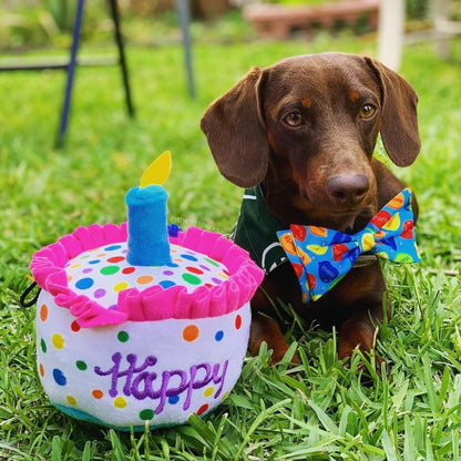 Happy Barkday Cake Dog Toy