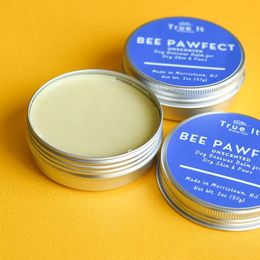 Bee Pawfect Organic Dog Balm