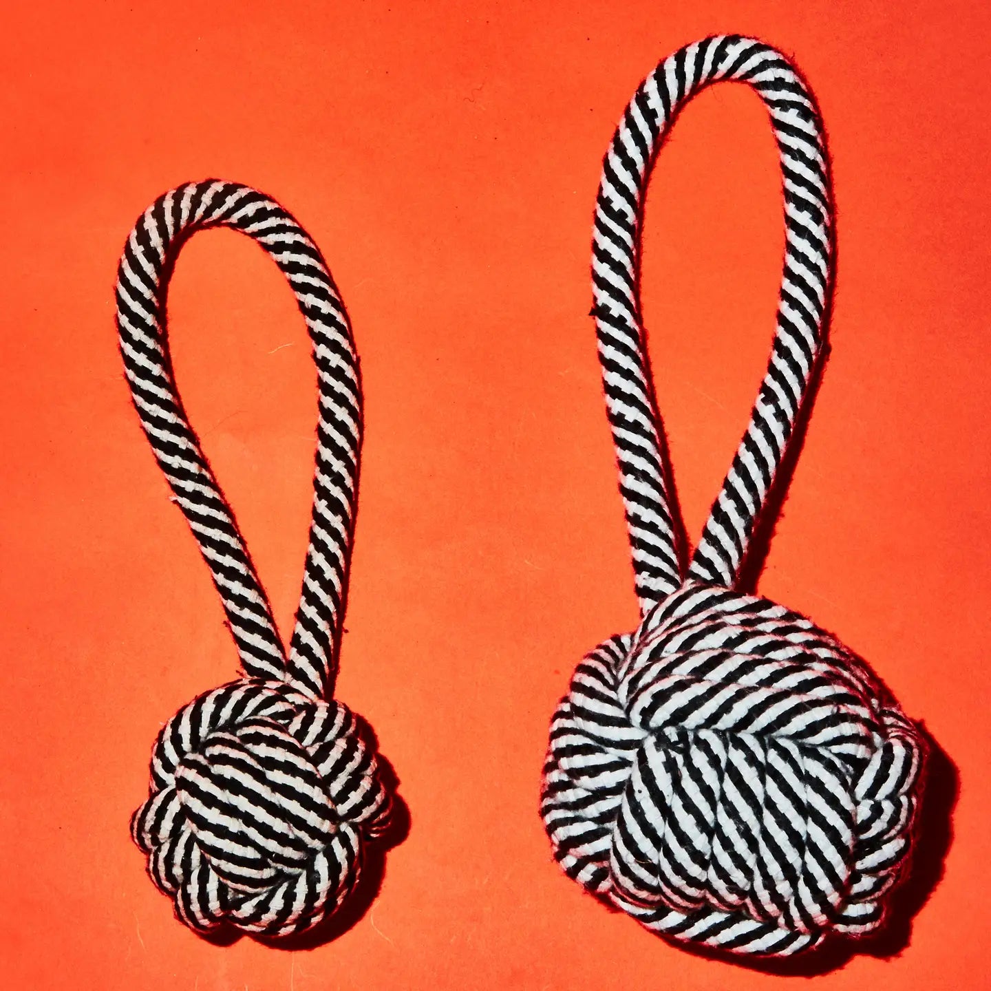 Black and White Rope Knot Toy
