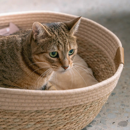 Kitty Basket