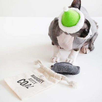 Naughty Coal Pet Toy