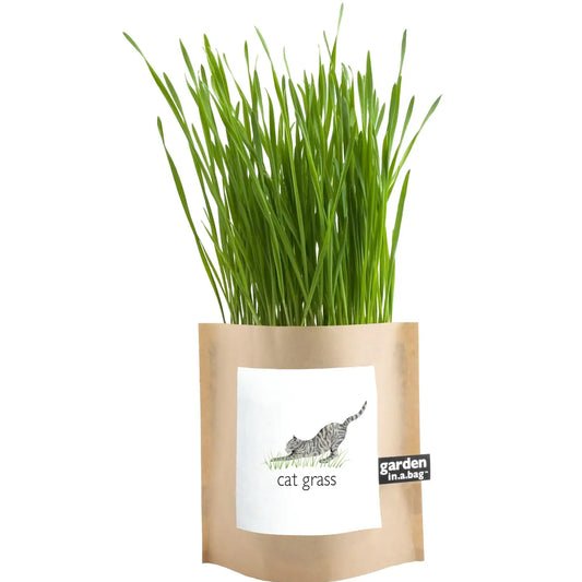 Pet Garden in a Bag: Cat Grass