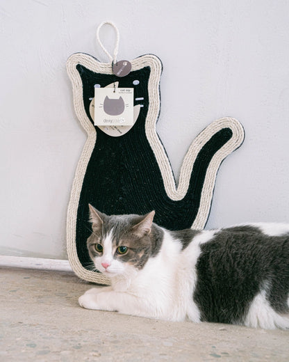 Hanging Cat Scratcher with Catnip