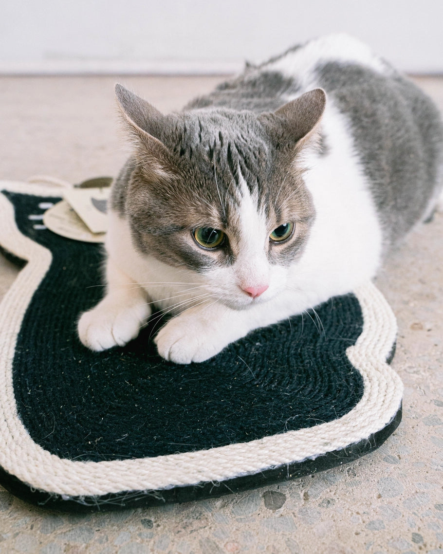 Hanging Cat Scratcher with Catnip