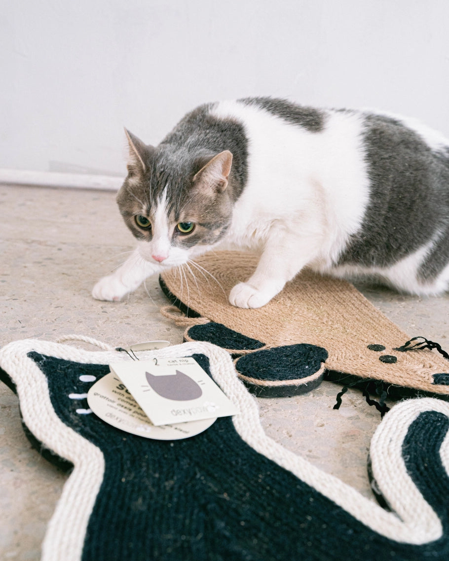 Hanging Cat Scratcher with Catnip