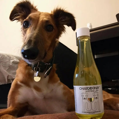 Dog Wine: Zinfantail and Chardognay