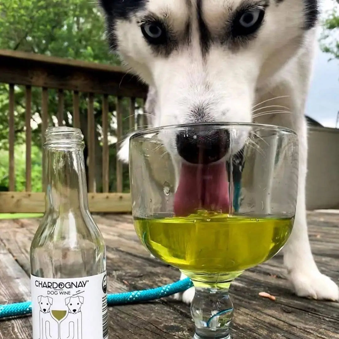 Dog Wine: Zinfantail and Chardognay