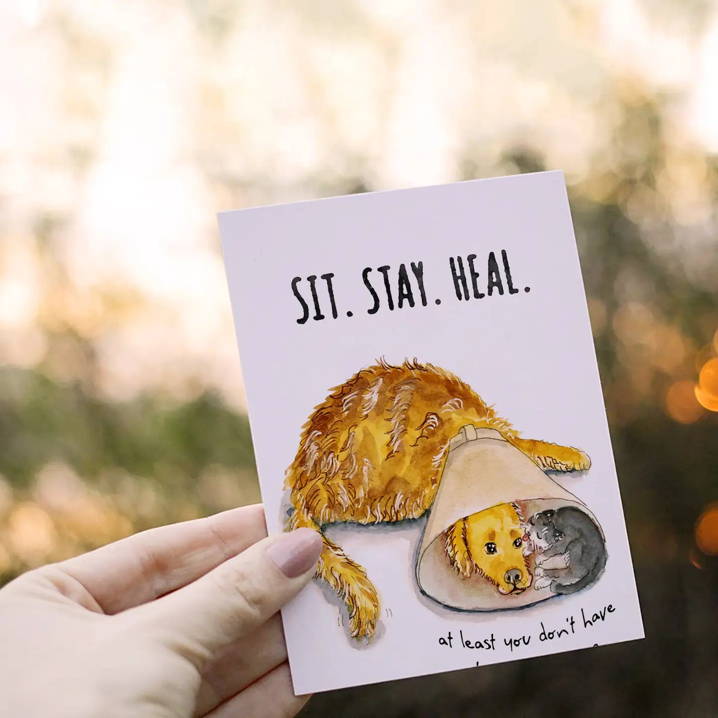"Sit Stay Heal" Get Well Card