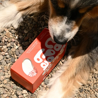 Cool Poo Bags' Iconic THANK YOU Compostable Dog Poop Bags