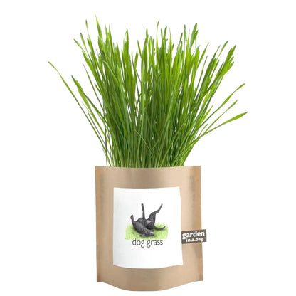 Pet Garden in a Bag: Dog Grass