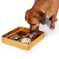 Dogiva Box of Chocolates Plush Dog Toys