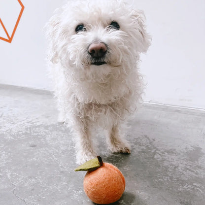 Doggy Peach Toy