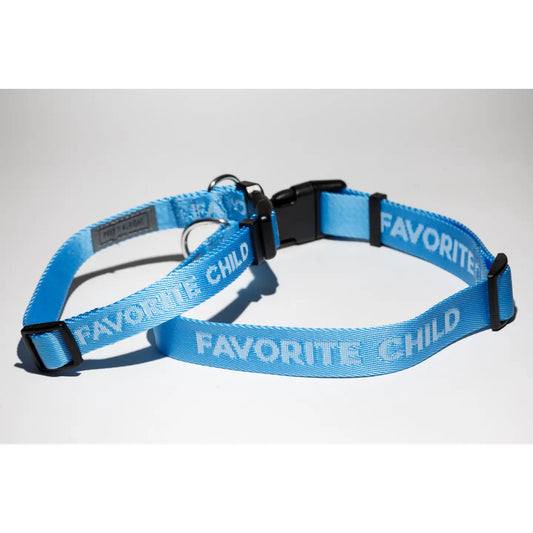 Favorite Child Dog Collar in Sky Blue