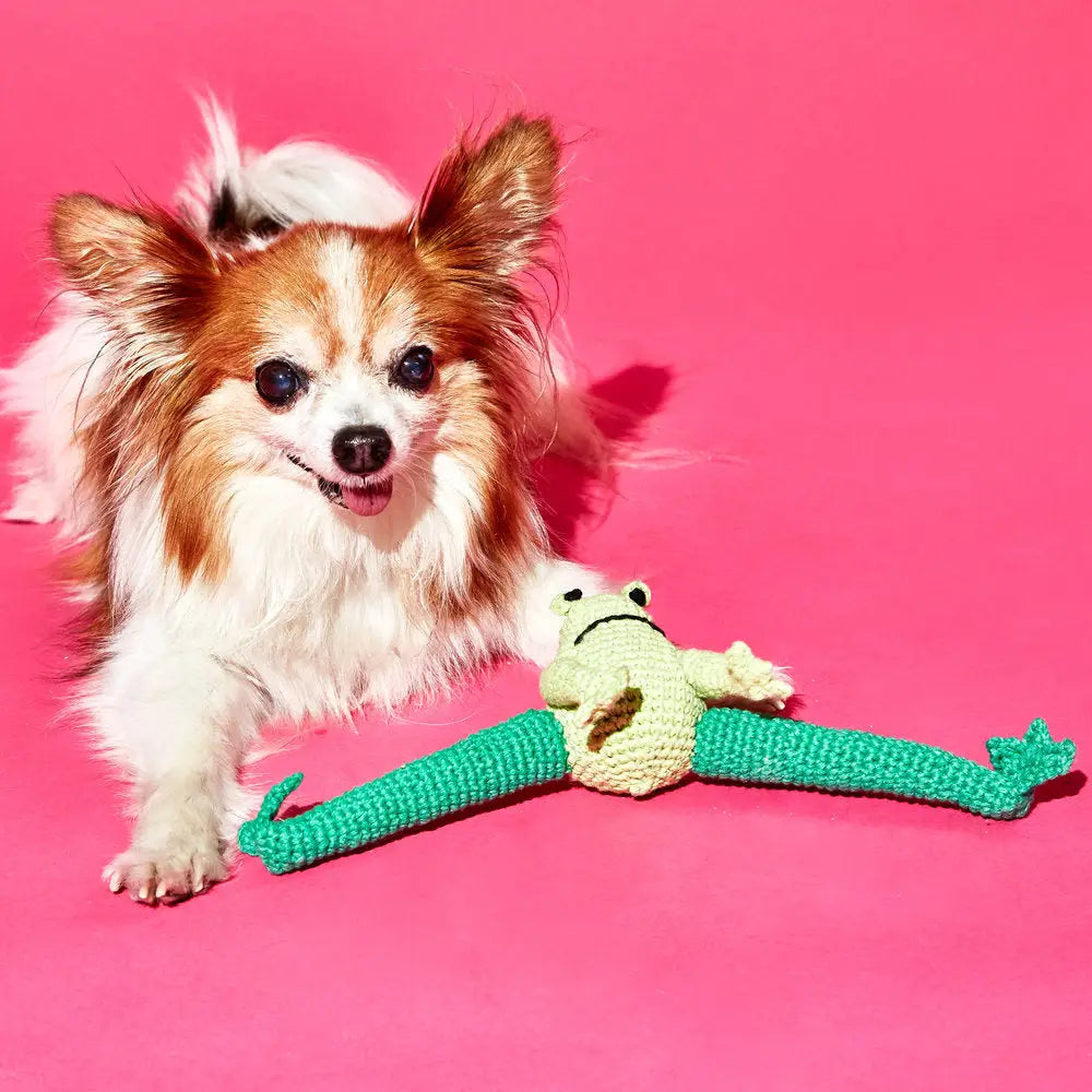 Crochet Frog Dog Toy