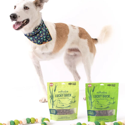 Polkadog Lucky Duck Cat and Dog Treats