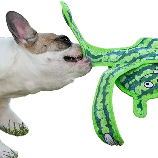 Monster Tough Toy for Dogs