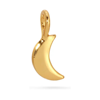 Little Moon Charm