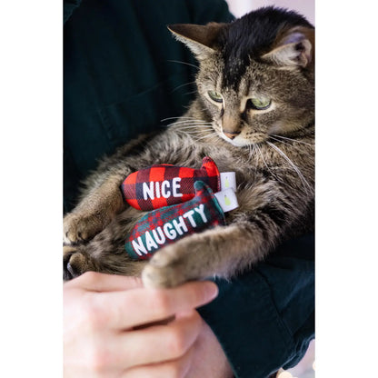 Naughty and Nice Catnip Fish