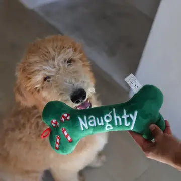 Naughty/Nice Bone Dog Toy