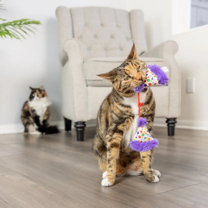 Catnip Party Hat Toys for Cats