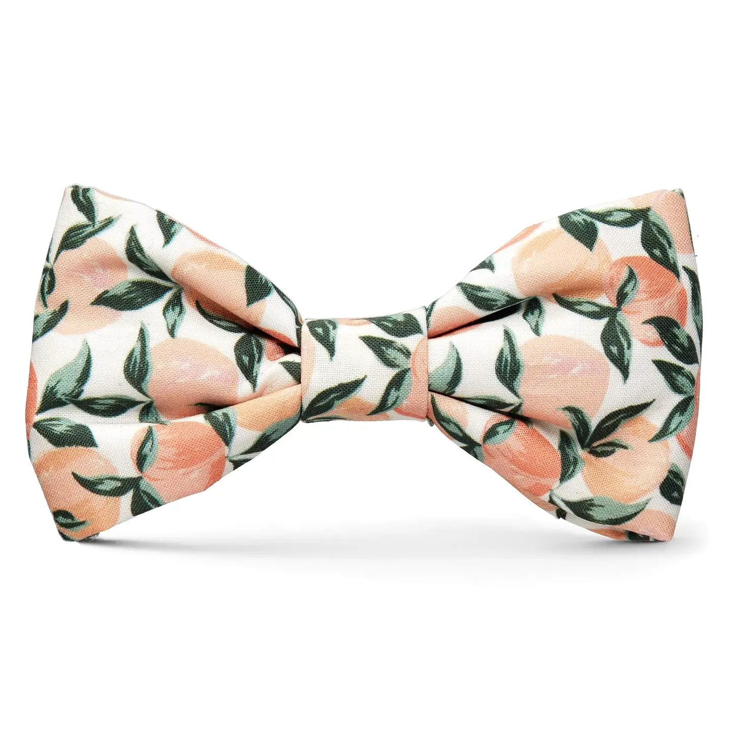 Foggy Dog Peaches and Cream Large Dog Bowtie