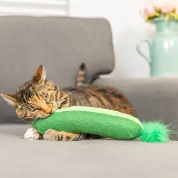 Pickle Kicker Cat Toy with Catnip