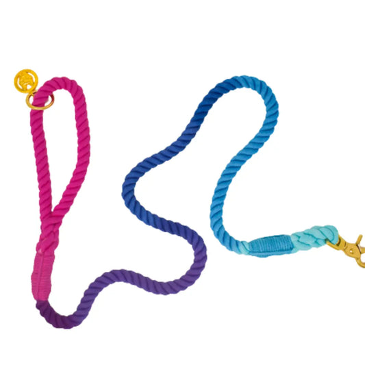 The Pride Rope Leash Collection: Bi Pride Ombre