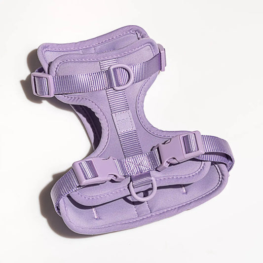 Wild One Comfort Dog Harness in Lilac
