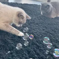 Catnip Kitty Bubbles