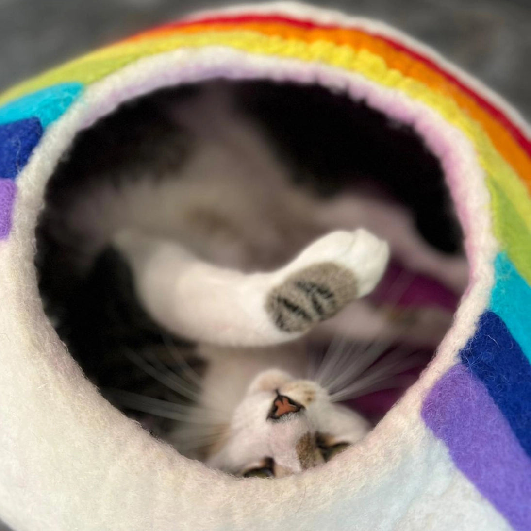 Rainbow Wool Kitty Cave