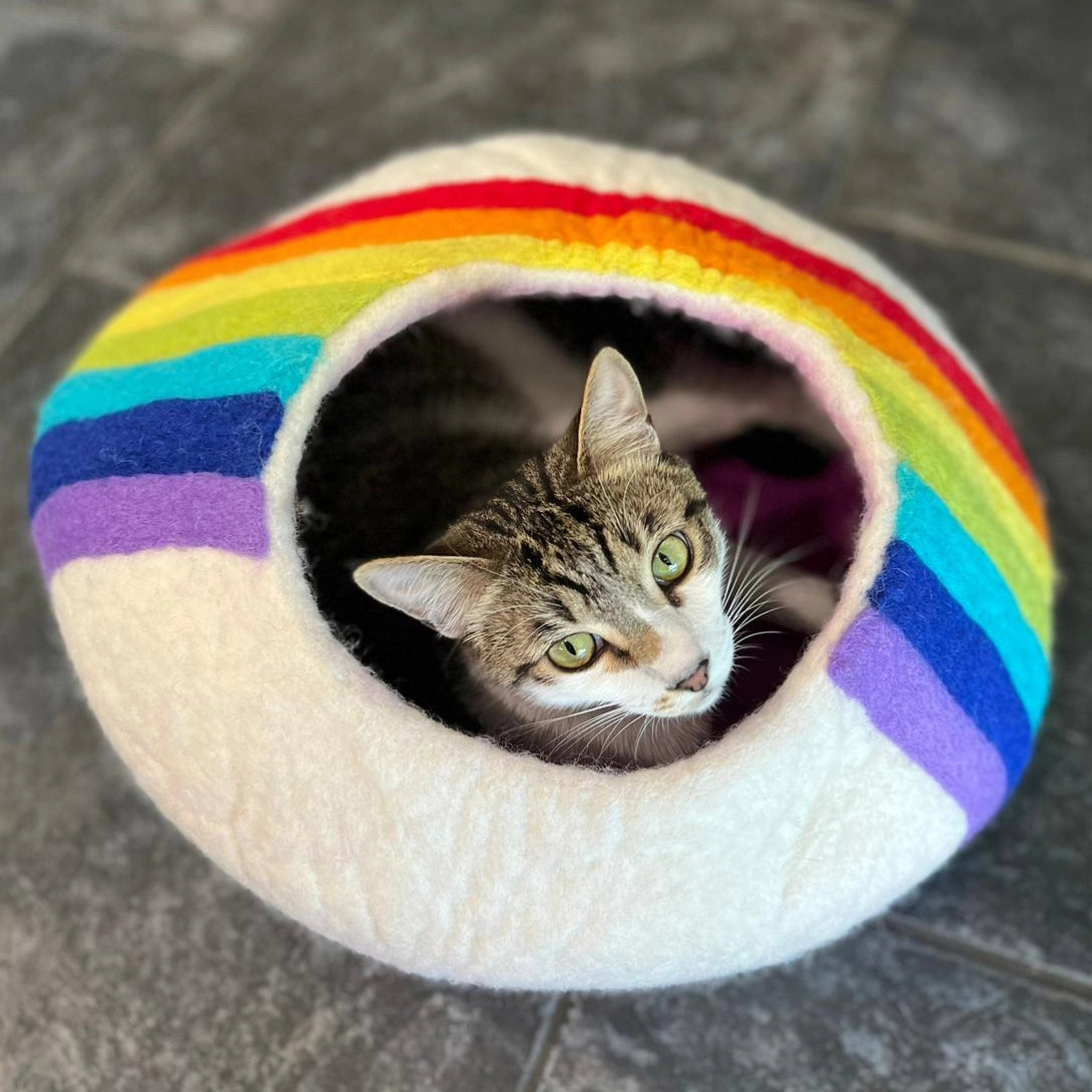 Rainbow Wool Kitty Cave