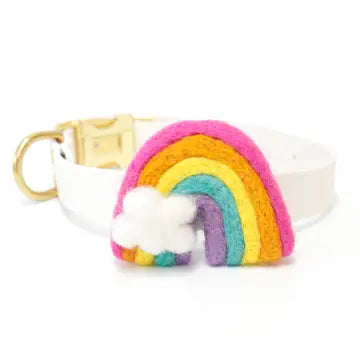 Rainbow Felted Collar Accessory