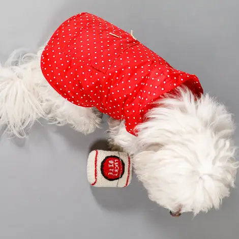 Red Polka-Dot Raincoat for Dogs