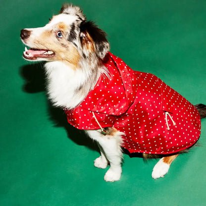 Red Polka-Dot Raincoat for Dogs