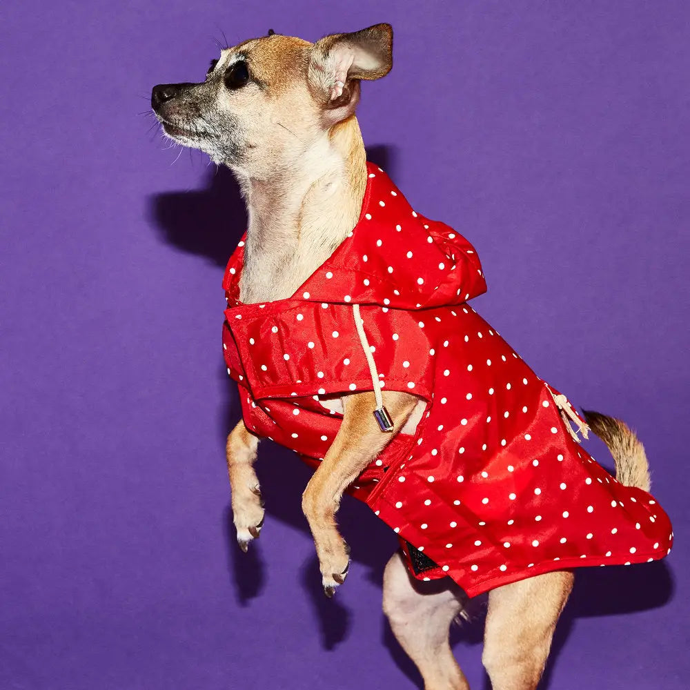 Red Polka-Dot Raincoat for Dogs