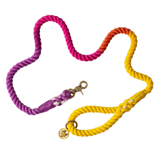 The Pride Rope Leash Collection: Lesbian Pride Ombre