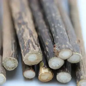 Silvervine Sticks for Cats