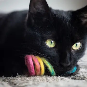 Felted Rainbow Spring Cat Toy