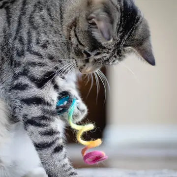 Felted Rainbow Spring Cat Toy