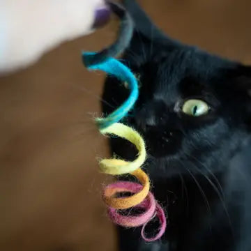 Felted Rainbow Spring Cat Toy