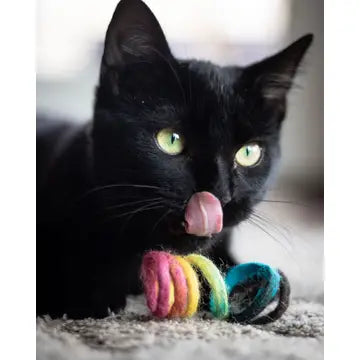 Felted Rainbow Spring Cat Toy