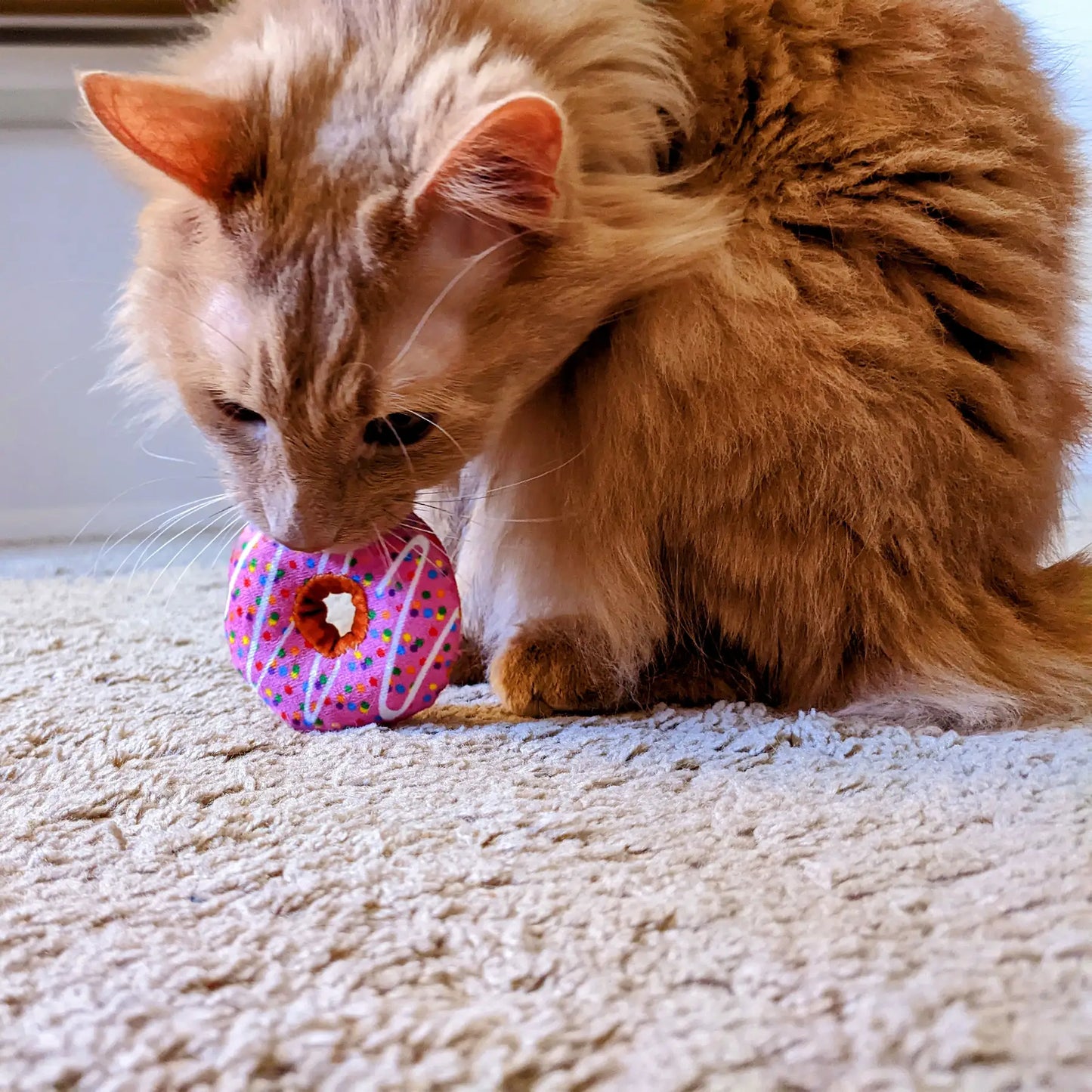 Strawberry Donut Catnip Toy for Cats