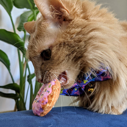 Strawberry Donut Catnip Toy for Cats